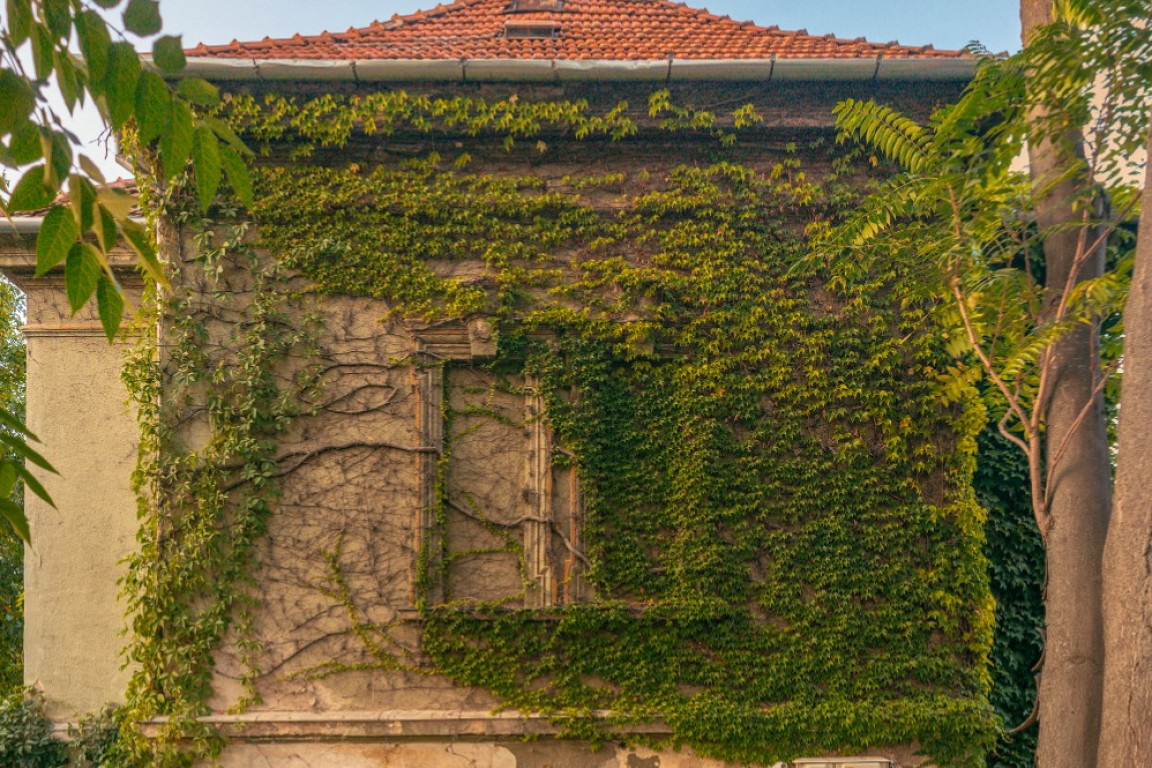 Casa cu iederă