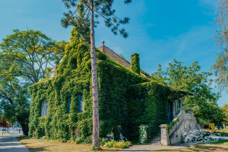 The House with Ivy
