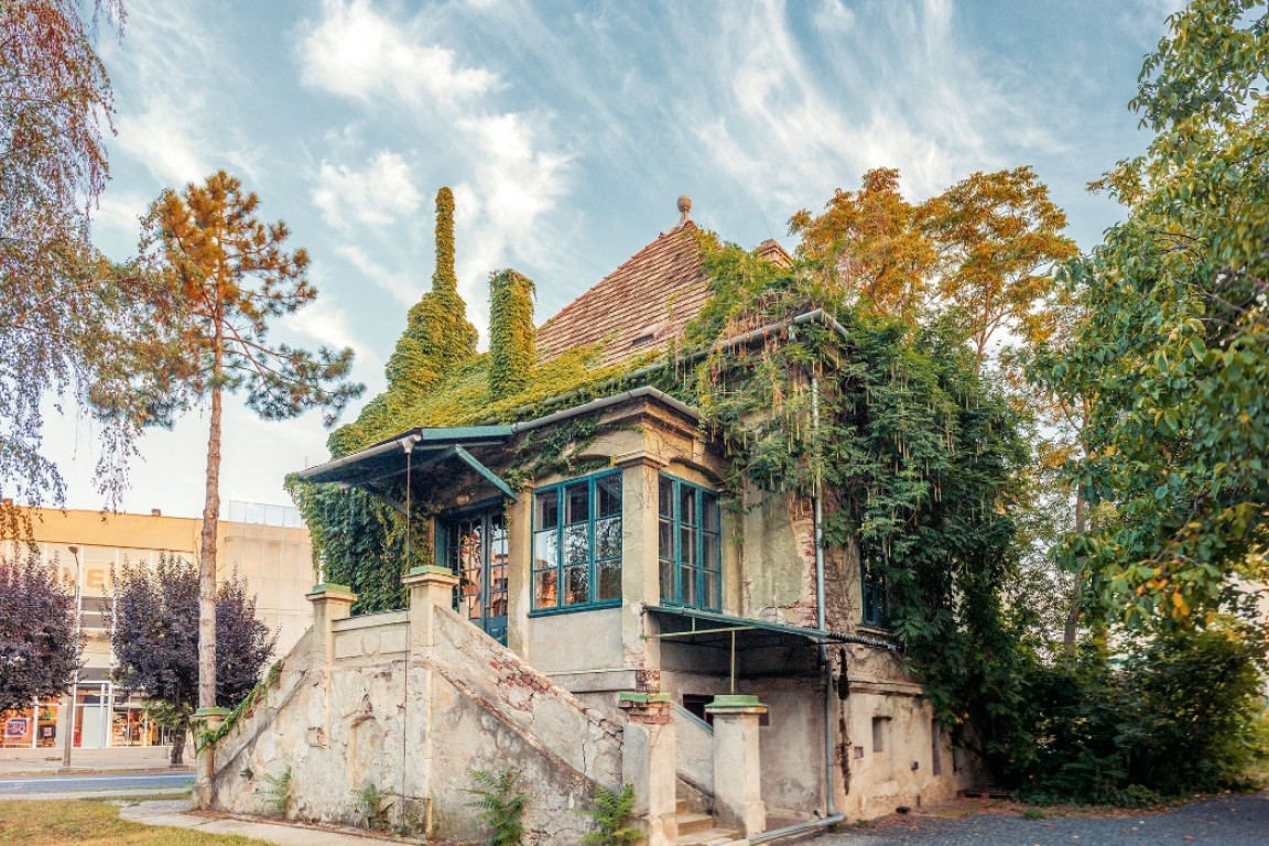 Casa cu iederă