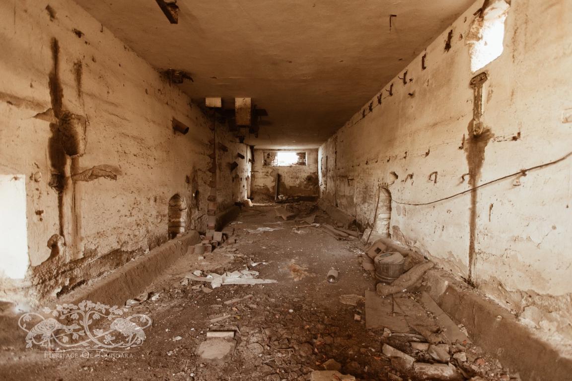 Cu ce rămânem după demolarea Morii Prohaska?