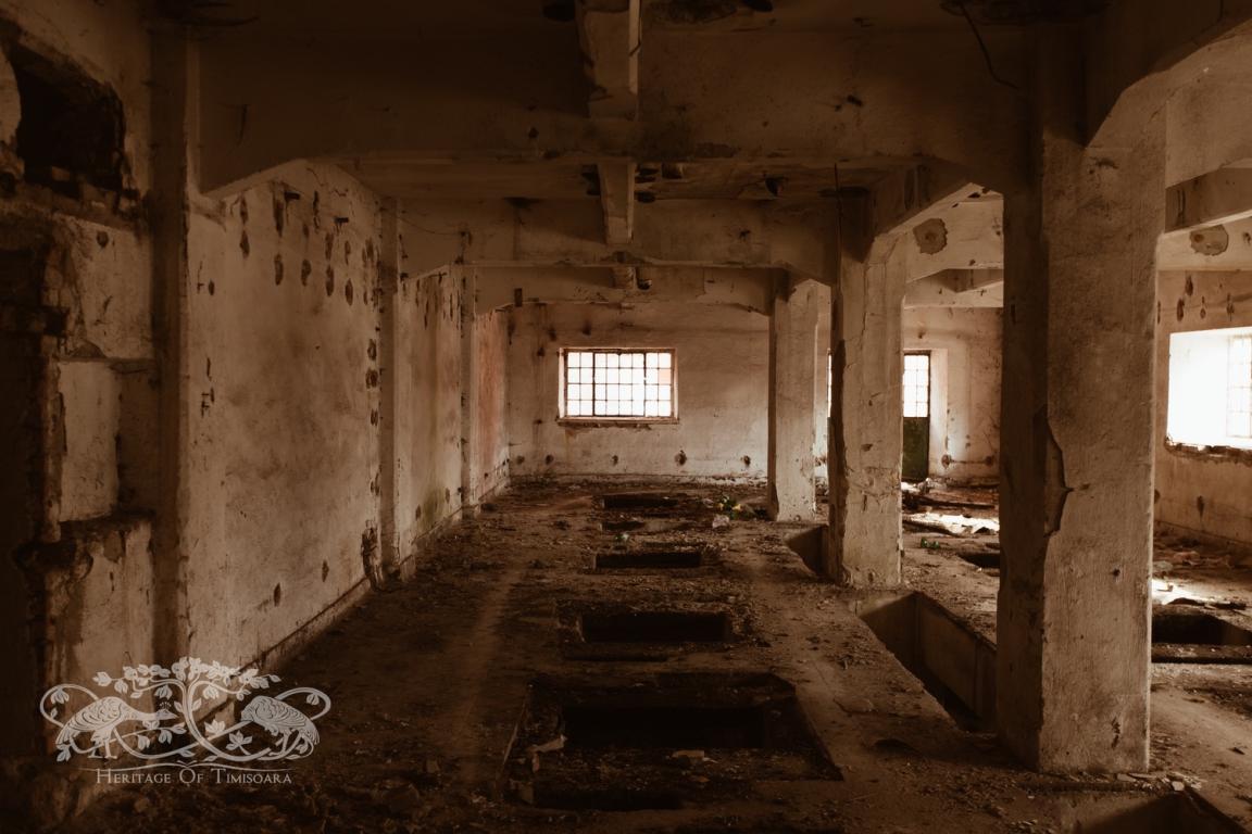 Cu ce rămânem după demolarea Morii Prohaska?