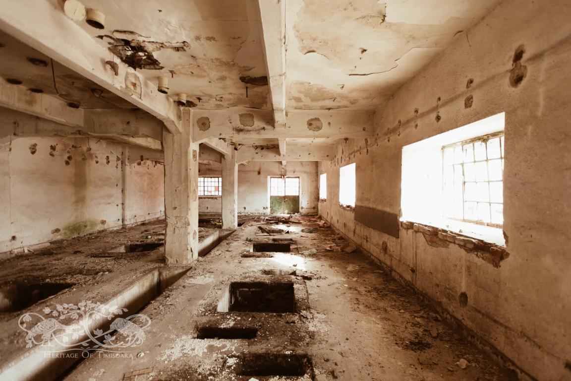 Cu ce rămânem după demolarea Morii Prohaska?