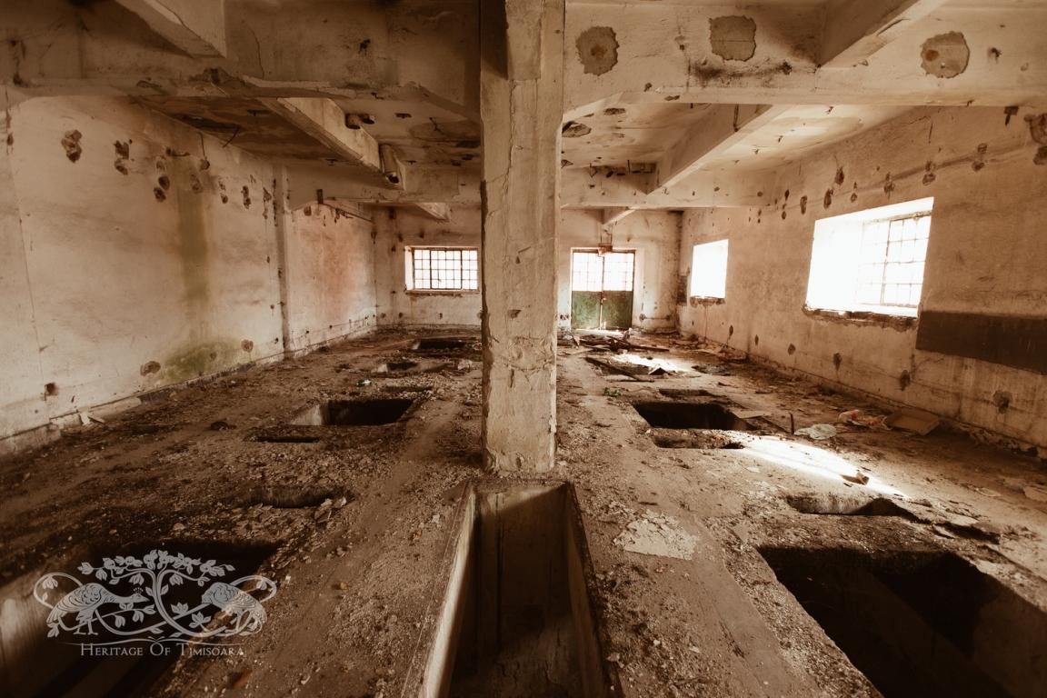 Cu ce rămânem după demolarea Morii Prohaska?