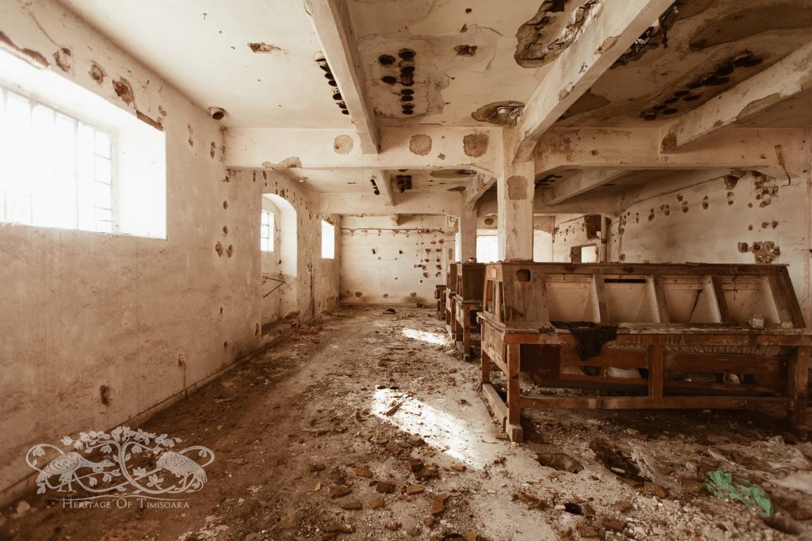 Cu ce rămânem după demolarea Morii Prohaska?