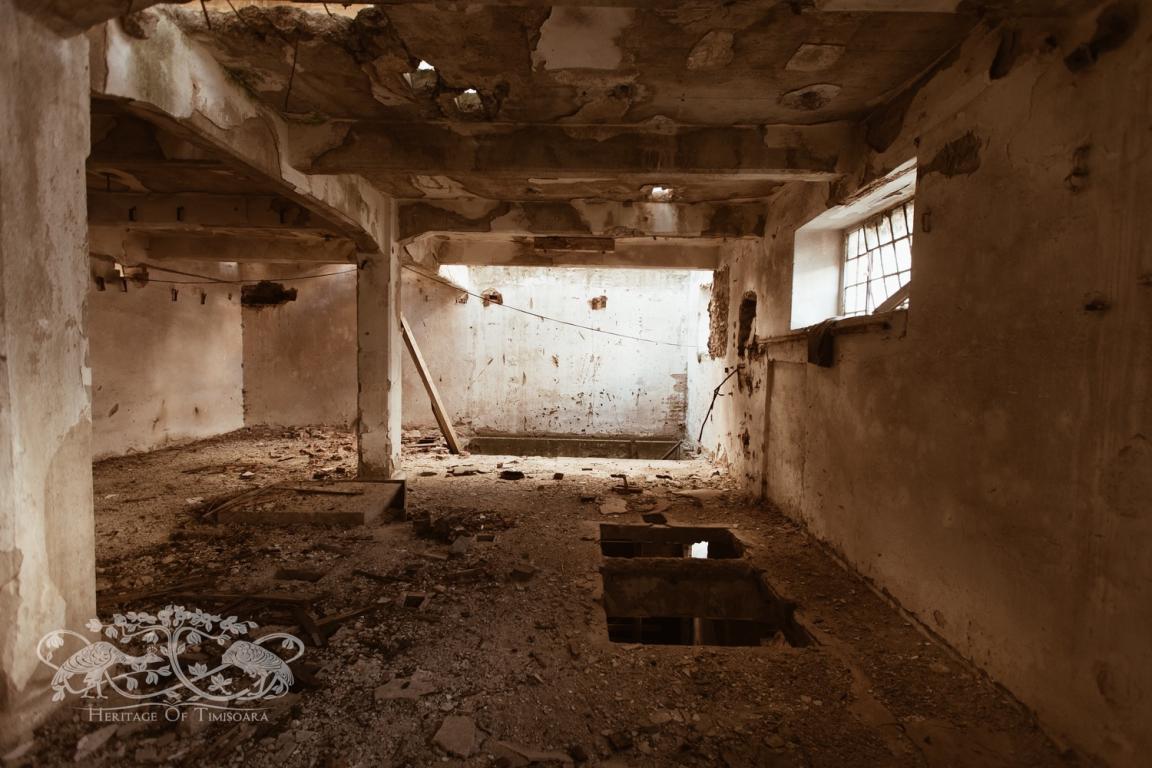 Cu ce rămânem după demolarea Morii Prohaska?