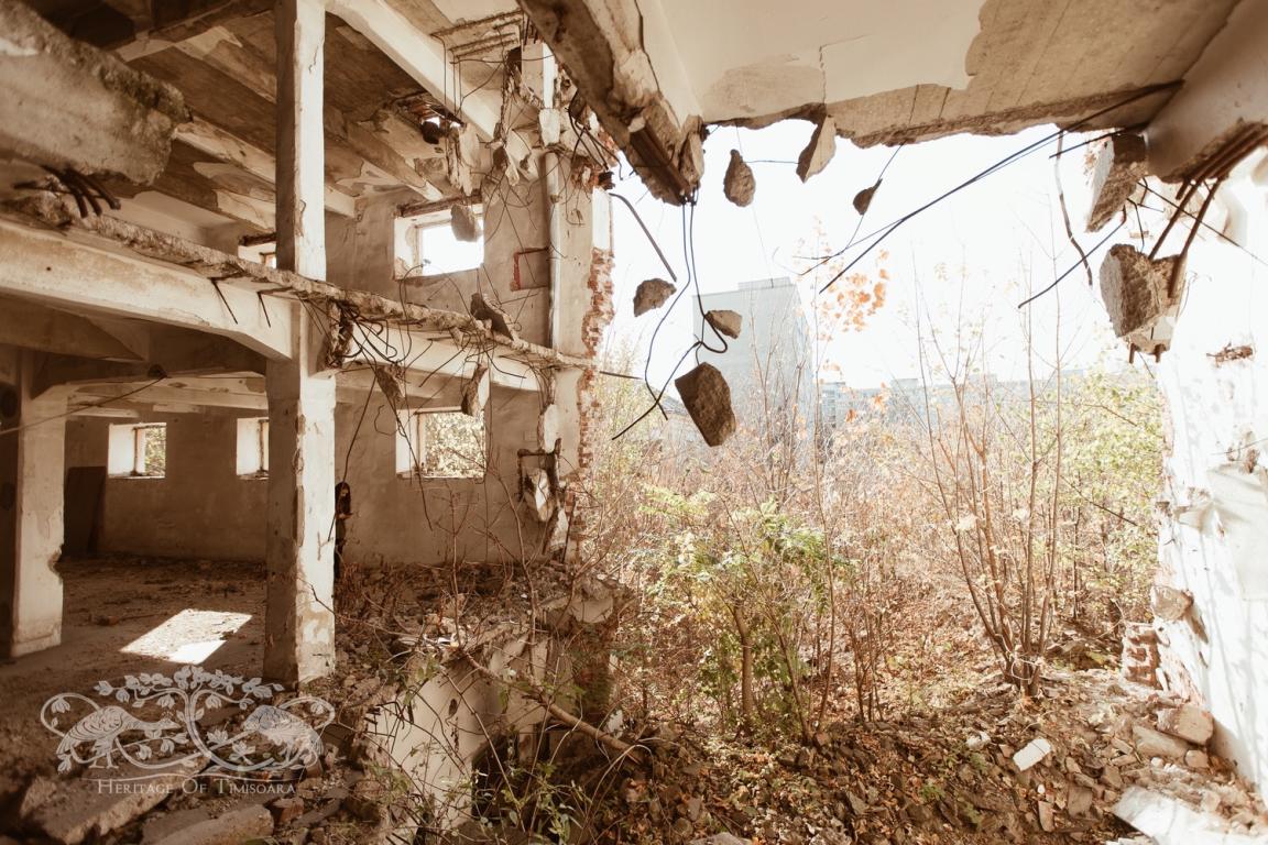 Cu ce rămânem după demolarea Morii Prohaska?