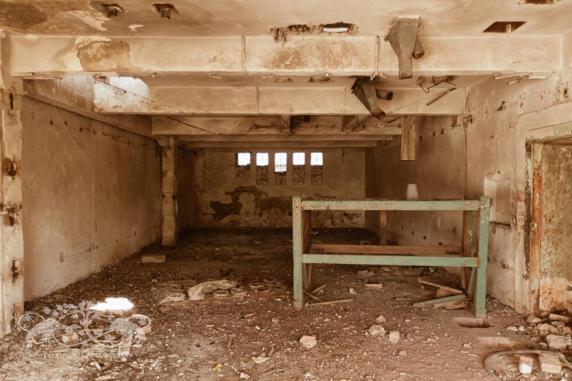 Cu ce rămânem după demolarea Morii Prohaska?