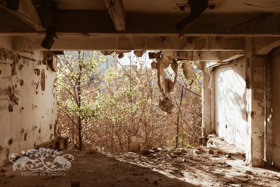 Cu ce rămânem după demolarea Morii Prohaska?