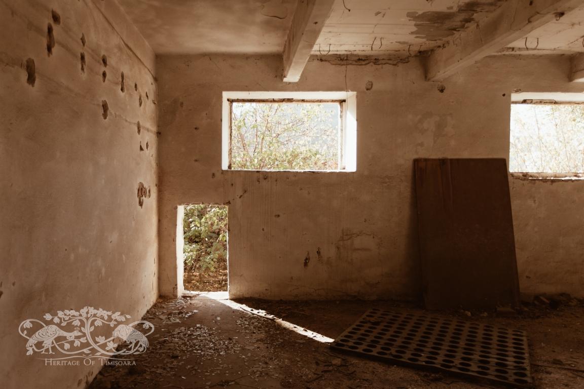 Cu ce rămânem după demolarea Morii Prohaska?