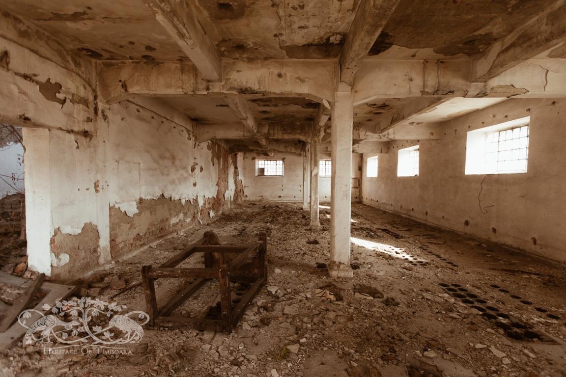 Cu ce rămânem după demolarea Morii Prohaska?