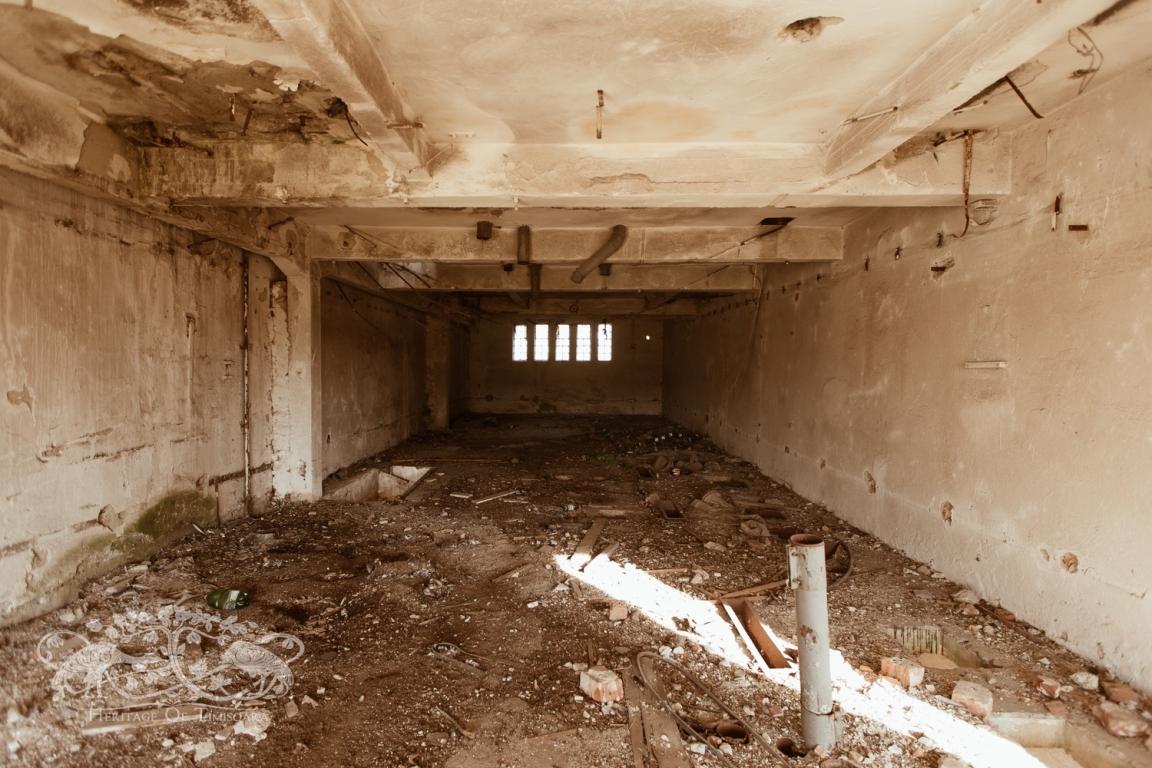 Cu ce rămânem după demolarea Morii Prohaska?