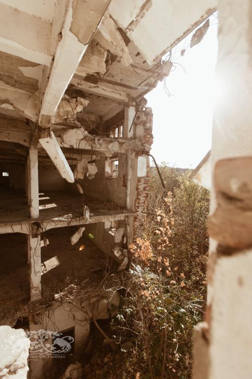 Cu ce rămânem după demolarea Morii Prohaska?
